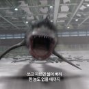 인투 서울신문