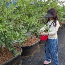 후계자 농장 이미지