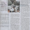 효빈나라 이미지