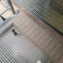 성당초등학교 | 익산 교도소세트장 전북 놀거리 실내 무료체험 가볼만한곳 관람후기 솔직후기