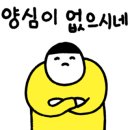 도나플로르 - 경산시 | 도나플로르
