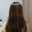 지빈뷰티 | 미쟝센 헬로버블 더스티애쉬 후기/탈색없이 더스티애쉬/긴머리 셀프염색