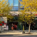 대전역사박물관 커뮤니티홀3 | 대전 대흥동 대형카페 투썸플레이스 홀리데이 신메뉴 구운밤라떼 말차아박 케이크 종류