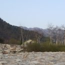 가고파민박 이미지