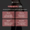 더나은365한의원 이미지