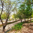 호구포근린공원 이미지