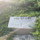 이태원 부군당 이미지