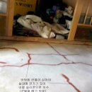 수리헌 이미지