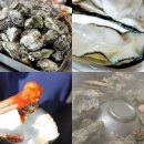 섬 펜션 이미지