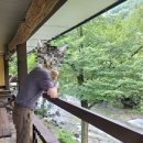 [마감] 7/19(토) [버스여행 공지]강원도 방태산 계곡 물놀이 &amp; ○○○ [ 버스참석44명,현지참석4명 ] 이미지