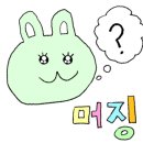 스위티시카빙 네이버블로그