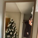 지구 지킴 공방 1 | 버비아[경주] 향수공방/내돈내산/솔직후기