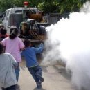 장터족발 이미지