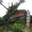 오목초등학교 Daum카페