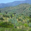 노스탈자 이미지