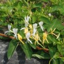 구월중학교 이미지