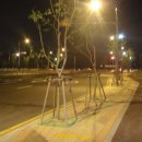 여월신도시주유소 이미지