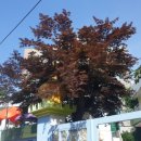 독산2동어린이집 이미지