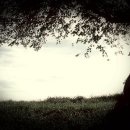 기다리는 마음 이미지