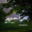 교촌치킨오목고색점 | 2024) 5월의 조각들⋆｡˚ ☁︎ ˚｡⋆｡