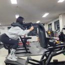 바디헬프
