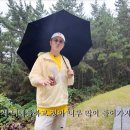 데프콘 카카오 검색결과