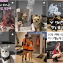 뚝딱