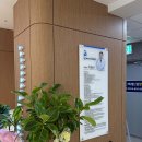 365백세드림정형외과의원 티스토리