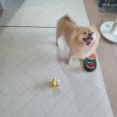 토이워크 이미지