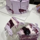 주 스테이 | Birthday in Buyeo🪷