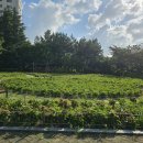 현충근린공원 이미지