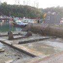 시민의숲산책로1-1 이미지