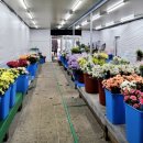 원당원예