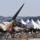 제주항공, 중대시민재해법 적용되나 &#39;산 넘어 산&#39;...경찰, 무안공항·제주항공 동시 압수수색 이미지