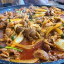 가야산오리 이미지