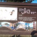 2014년 6월 16일(월요일) 815투어 여성산악회 강원 강릉 삼척 코레일 바다열차및 추암 해변 트레킹 이미지