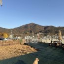 개올나잇 | 가덕도 애견카페 개올나잇 후기 - 강아지와 함께 뷰보며 힐링 🐶🌅✨