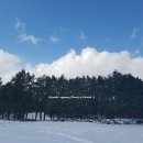 동이네펜션민박 이미지