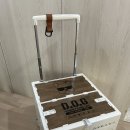 도그마트 | [도그독카트] 26년 신제품 트윈 접이식 폴딩카트 내돈내산 후기/ 아기 태우고 놀이공원 가기