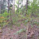 큰골짜기농장 이미지