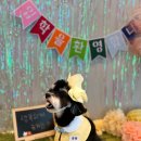 덕분에 행복하개 이미지