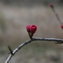 장덕1리 이미지