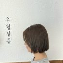 오월살롱 - 전주시 완산구 | 오월살롱