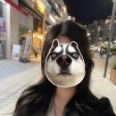 비비룸 | 위례역 미용실 '비비룸'에서 1년만에 머리스타일 바꾼 솔직후기