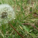 영관농장 이미지