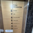 동물병원 All Pets | 서울 마포구 신촌 24시 동물병원 추천 English-Speaking Vet in Seoul [24시 웨스턴동물의료센터]