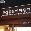 죽전동물메디컬센터 이미지