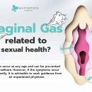질방귀[Vaginal flatulence] 이미지
