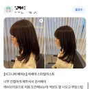세아미용실 - 해운대구 송정중앙로9번길 82 | 차세아디자이너 강남구청 미용실 | 분위기 확 바꿔주는 헤어, 고객 리얼 후기 모음 zip ⭐️