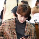 리노 이미지